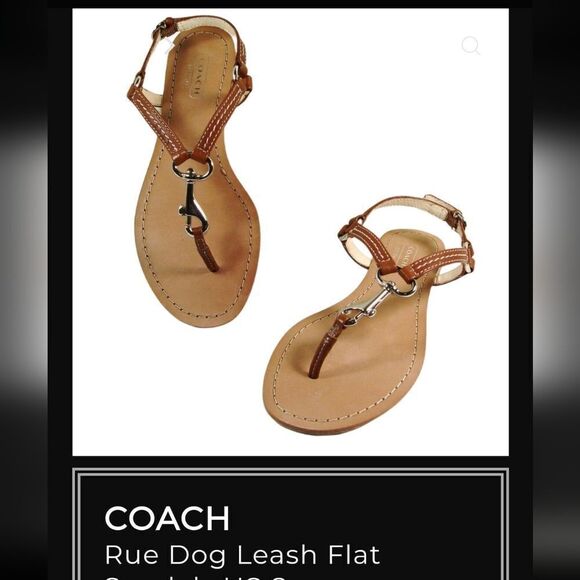 COACH Rue Dog Leash Flat Sandals - Picture 2 of 8